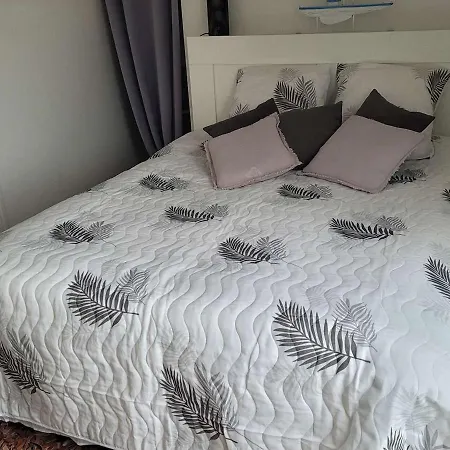 Nyaraló Ker Sanmamaleo Pres De La - 4 Chambres, 3 Salles De Bain, Wifi, Animaux Acceptes - Fr-1-542-29 Pleumeur-Bodou